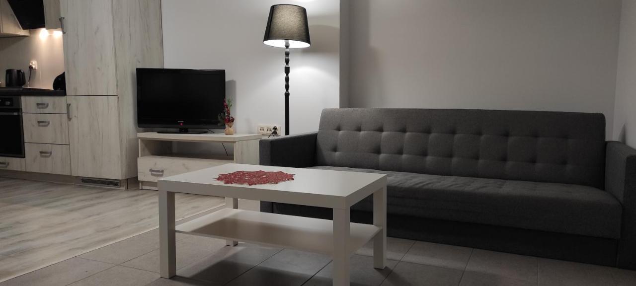 Apartament Krakowska Apartment Częstochowa Екстериор снимка